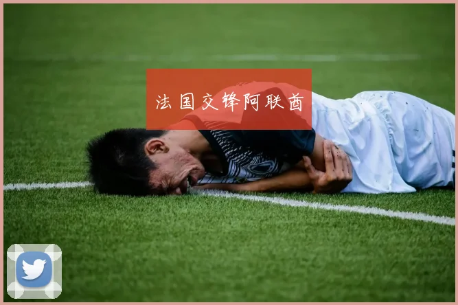 法国交锋阿联酋