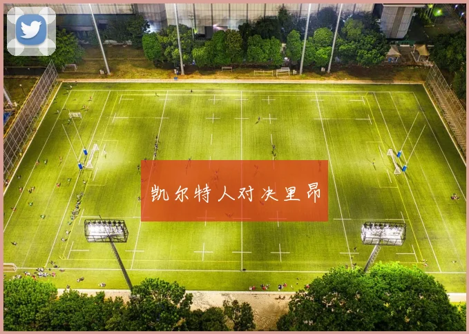 凯尔特人对决里昂