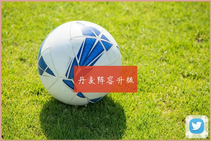 丹麦阵容升级